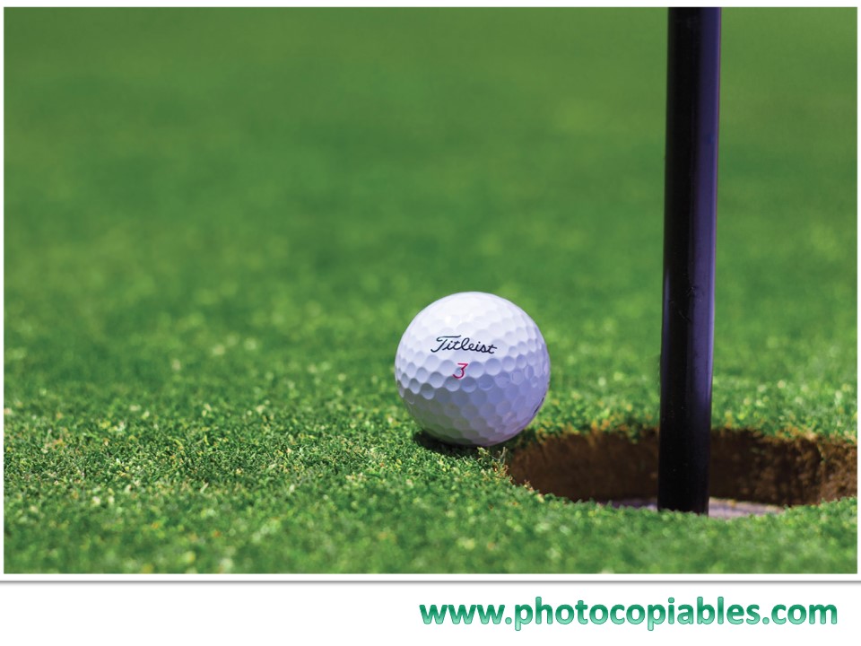 First Conditional Clauses_flashcards 2