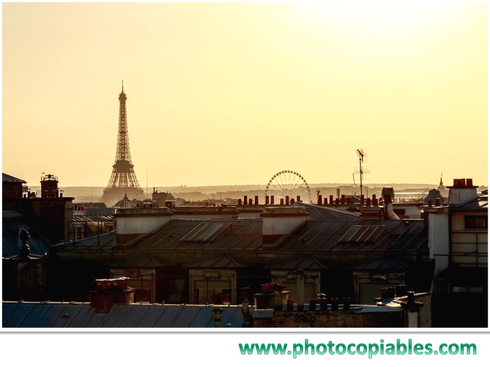 First Conditional Clauses_flashcards 3