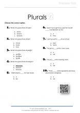 Plural Forms_grammar-quiz-2 