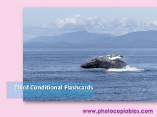 Third conditionals flashcards 