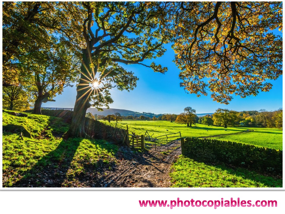 Third conditionals flashcards 2