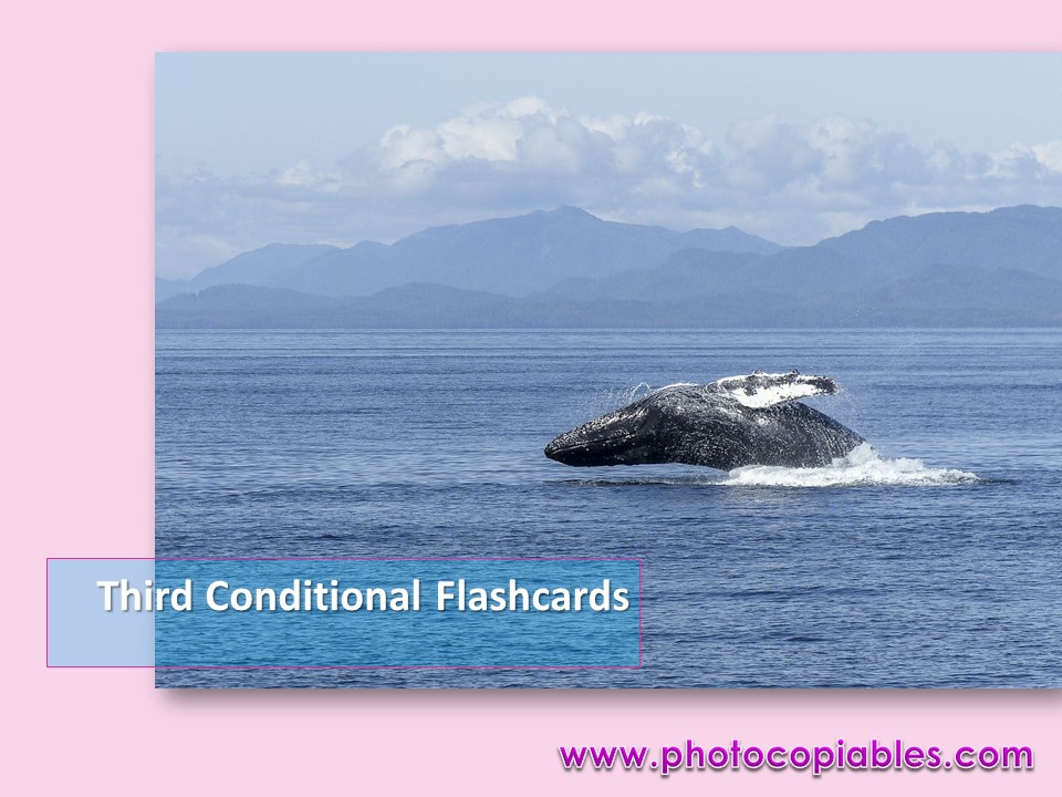 Third conditionals flashcards